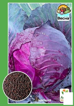 Капуста червонокачанна середньостигла "Гранат" Agro-Market 0.3г (18673)