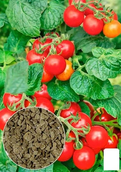 Томат "Банзай" Agro-Market 0.1г (21905)