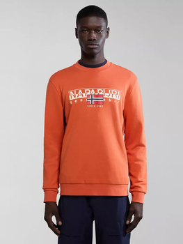 Bluza bez kaptura męska B-Aylmer
