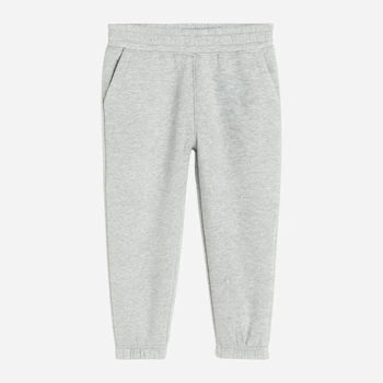 Детские теплые спортивные штаны-джоггеры для мальчика H&M 1203698003c35 128 см Серые (KC1000000054879)