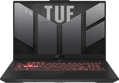 Ноутбук 17.3" Asus TUF Gaming A17 FA707RM (FA707RM-ES73) Black