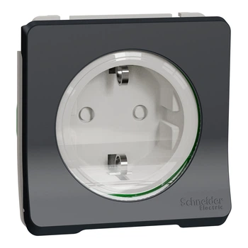 Розетка с заземлением Schneider Electric Mureva Styl MUR36134 со шторками черная