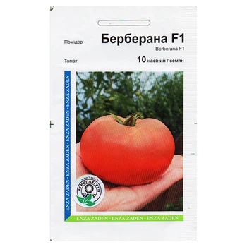 Семена помидора Берберана F1 10 семян Enza Zaden, Голландия