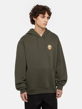 Худи Dickies 8916482 Зелёный S DIM422