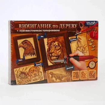 Набір для випалювання по дереву Danko Toys WD-01-02U — електровипалювач з насадками