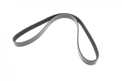 Поліклиновий ремінь SKF (VKMV 6PK1205)