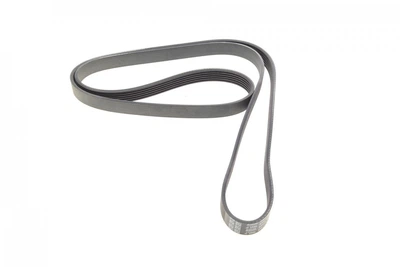 Поліклиновий ремінь SKF (VKMV 6PK1744)