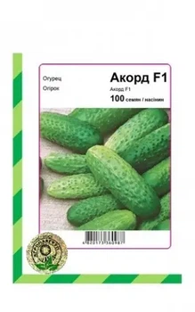 Огірок Акорд F1 100 насінин Агропакгруп