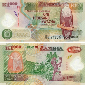Банкнота Замбія 1000 квача 2011 Полімер UNC Тварина - Трубкозуб (земляна свиня) (P44i)