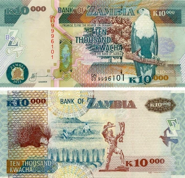 Банкнота Замбія 10000 квача 2012 UNC Дикобраз (P46h)