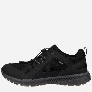 Кросівки для треккінгу з Gore-Tex Terracruise II M