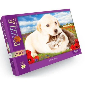 Пазлы "Дружба", 2000 элементов Dankotoys (153561)