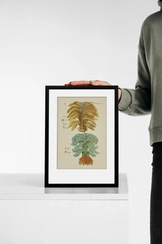 Постер Михайла Боїма Ukraine WOW&Rozetka Ревінь (0056А4)