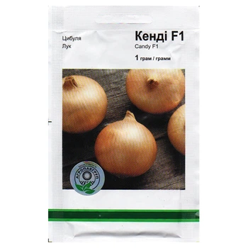 Насіння цибулі Кенді F1 1 г Seminis, Голландія