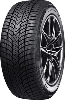 Зимова шина TRIANGLE EffeX Winter TW421 235/55R19 105V