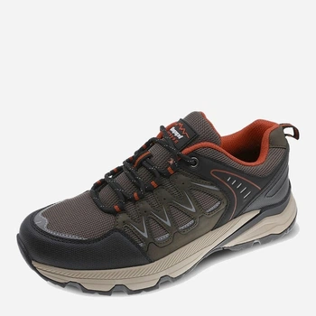 Чоловічі кросівки для трекінгу Beppi 2209951 42 27 см Brown (7000002728783)