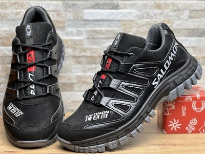 Кожаные мужские кроссовки Salomon Terra Drive 40