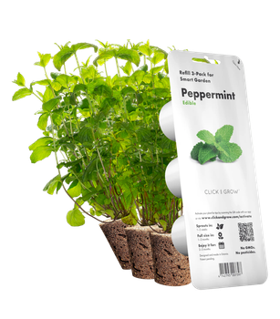 Змінний картридж Click&Grow М'ята 3шт (7397)