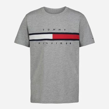 Дитяча футболка для хлопчика Tommy Hilfiger 422740025 98 см Сіра (1159844631)