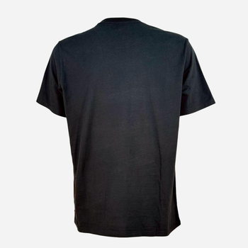 Футболка бавовняна чоловіча Graphic Crewneck Tee Paris Landscape Ca