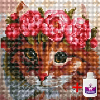 Алмазная мозаика на подрамнике ColorArt 20x20 Кот с венком DDP1225 + Подарок лак для покрытия