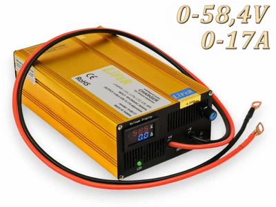 Зарядное устройство LiFeR для аккумуляторов LiFePO4 30-60V 17A. Зарядка для аккумулятора 0-60 вольт