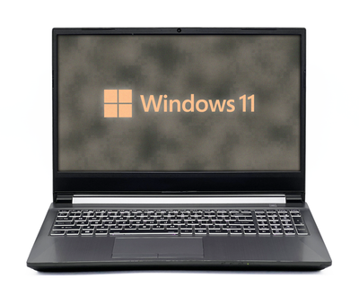 Ноутбук Clevo Sager NH58RH / 15 IPS 1920x1080 60Гц / i5-9300H / 16 GB / 480 GB / NVIDIA GeForce GTX 1050 / [CLVSGRNH58RHI5105048016IAM] - Б/У