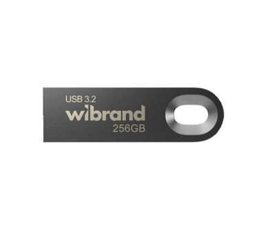 Флешка металева WiBrand Eagle 256 GB USB 3.2 Gen1