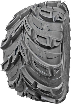 Cenew FB118 (Квадроцикл) 21X7 R10 30F