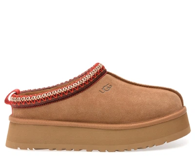 Жіночі уггі Тазз Сліппер Ультра Міні Платформа Помаранчеві Ugg Slipper Tazz Platform Chestnut (37, помаранчевий)
