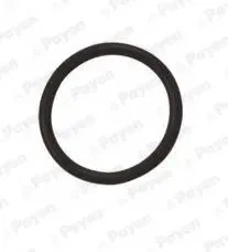 Уплотняющее кольцо маслосливной пробки OPEL/CHEVROLET 18*22*2 резина (выр-во Payen) Payen (LA5120)
