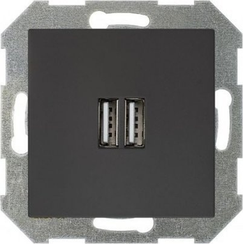 Розетка Liregus USB Charger Black (IUK-2-01.R/ON59)