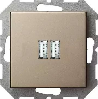 Розетка Liregus USB Charger Champagne (IUK-2-01E/Ch)