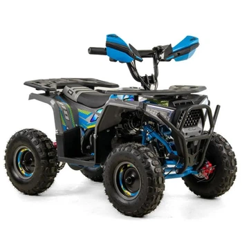 Дитячий електричний квадроцикл Asix E-M10/6 1000W -синій