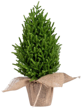 Штучна ялинка HOMLA 714405 Hector в джуті 48 см Зеленая (5906496714405)