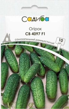 Семена Огурец самоопыляемый СВ 4097 F1 10 шт Садыба