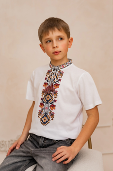 Футболка вишиванка для хлопчика Galychanka Лукаш 98 Білий (GALLUKB)
