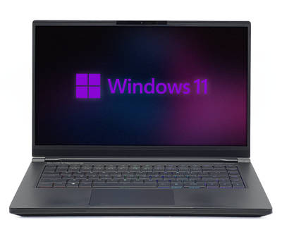 Ноутбук Eluktronics MAG-15 1660TI / 15 IPS 1920x1080 144Гц / i7-9750H / 16 GB / 960 GB / NVIDIA GeForce GTX 1660 Ti / [LKTRNCSMG151660TI7166096016IB] БУ - Б/У