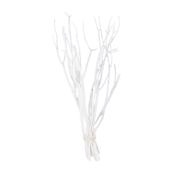 Сухоцвіт салекс Decorize 5138-5 matsumata 55 см