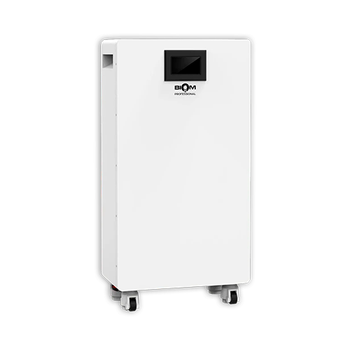 Акумуляторна батарея LiFePO4 Biom Professional 51.2 V 300 Ah 15.36 kWh CAN/RS232/RS485 Bluetooth White (BALFP-512300-V2)