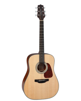 Акустическая гитара TAKAMINE GD10 NS