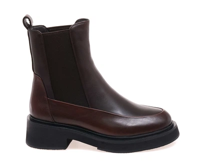 Черевики жіночі Anemone JS5001AM-729-J647/C15 BROWN 37 Коричневий