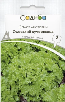 Семена Салат листовой Одесский кучерявец 2 г Садыба
