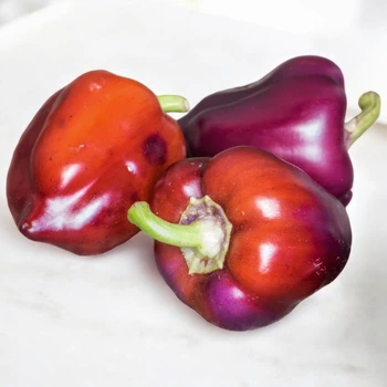 Семена Перец сладкий Big Daddy, Capsicum annuum 5 шт/уп
