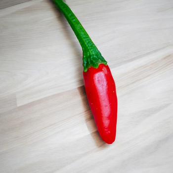 Семена Перец острый Халапеньо Mini , Capsicum Annuum 5 шт/уп