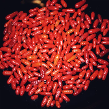 Насіння гострий перець Chilito de Simojovel, Capsicum annuum var. glabriusculum 5 шт/уп