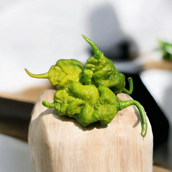 Семена Перец острый T-Rex Mustard, Capsicum chinense 5 шт/уп