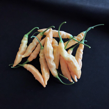 Семена Перец острый Aji Melocoton, Capsicum baccatum 5 шт/уп