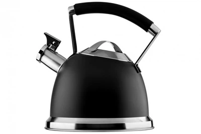 Чайник Ardesto Black Mars 2,5л нержавеющая сталь сл свистком (AR0747KS)