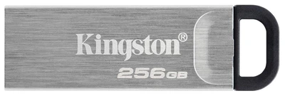 Флеш-накопичувач Kingston DT Kyson 256 ГБ USB 3.2 сріблястий